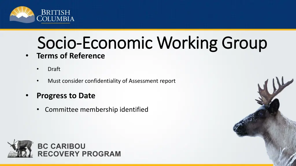 socio socio economic working group economic 1