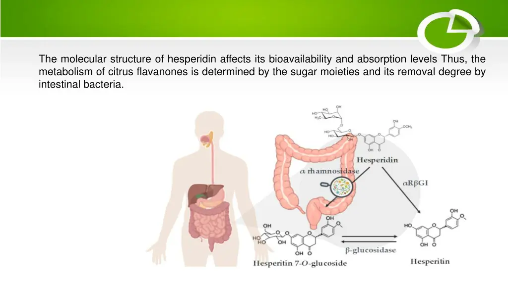 the molecular structure of hesperidin affects