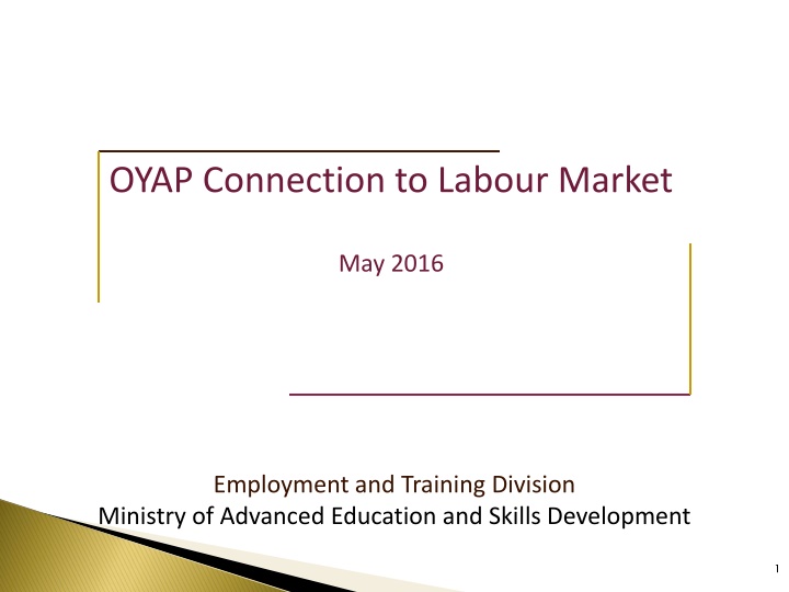 oyap connection to labour market