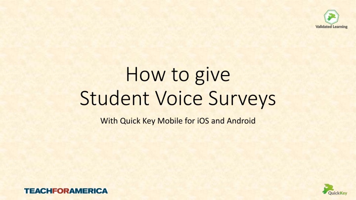 how to give student voice surveys