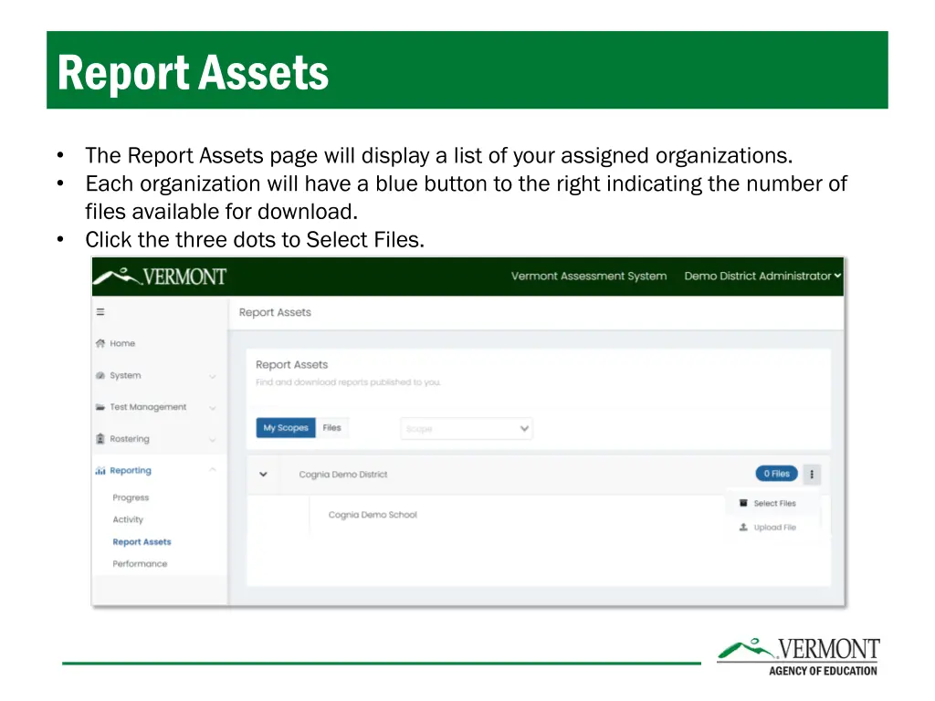 report assets 1