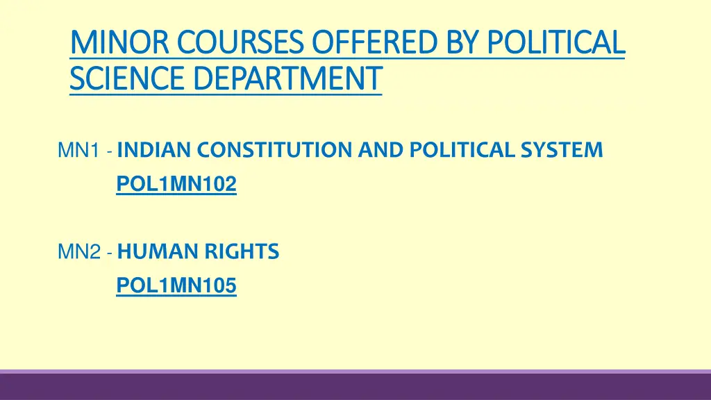 minor courses offered by political minor courses