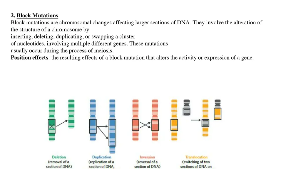 2 block mutations block mutations are chromosomal