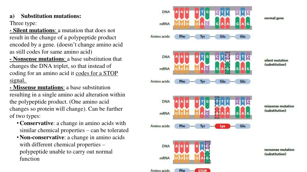 a three type silent mutations a mutation that