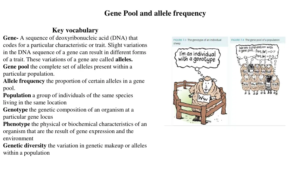 gene pool and allele frequency