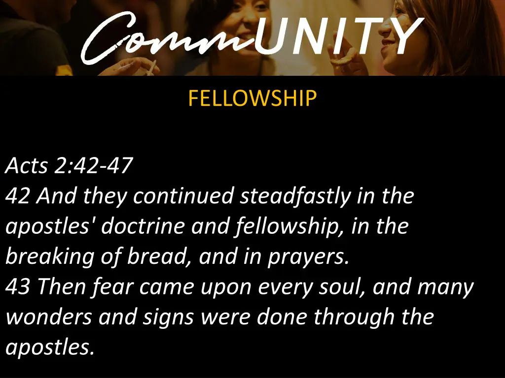 fellowship 1