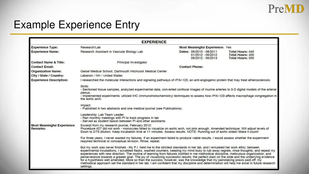 example experience entry 1