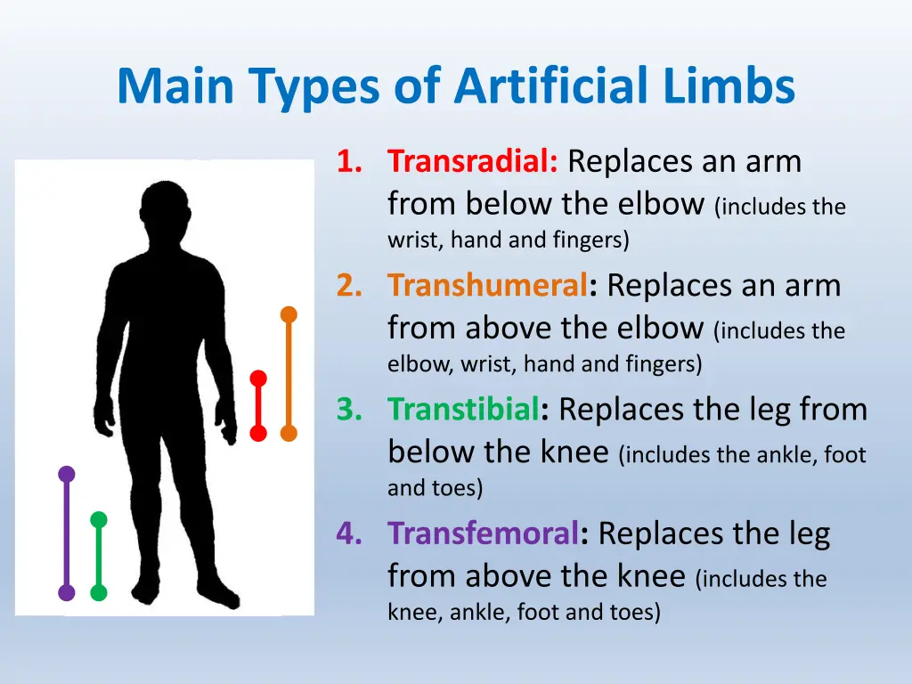 main types of artificial limbs