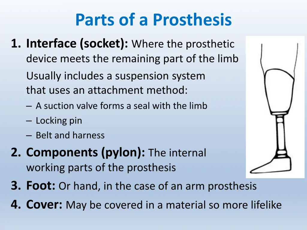 parts of a prosthesis