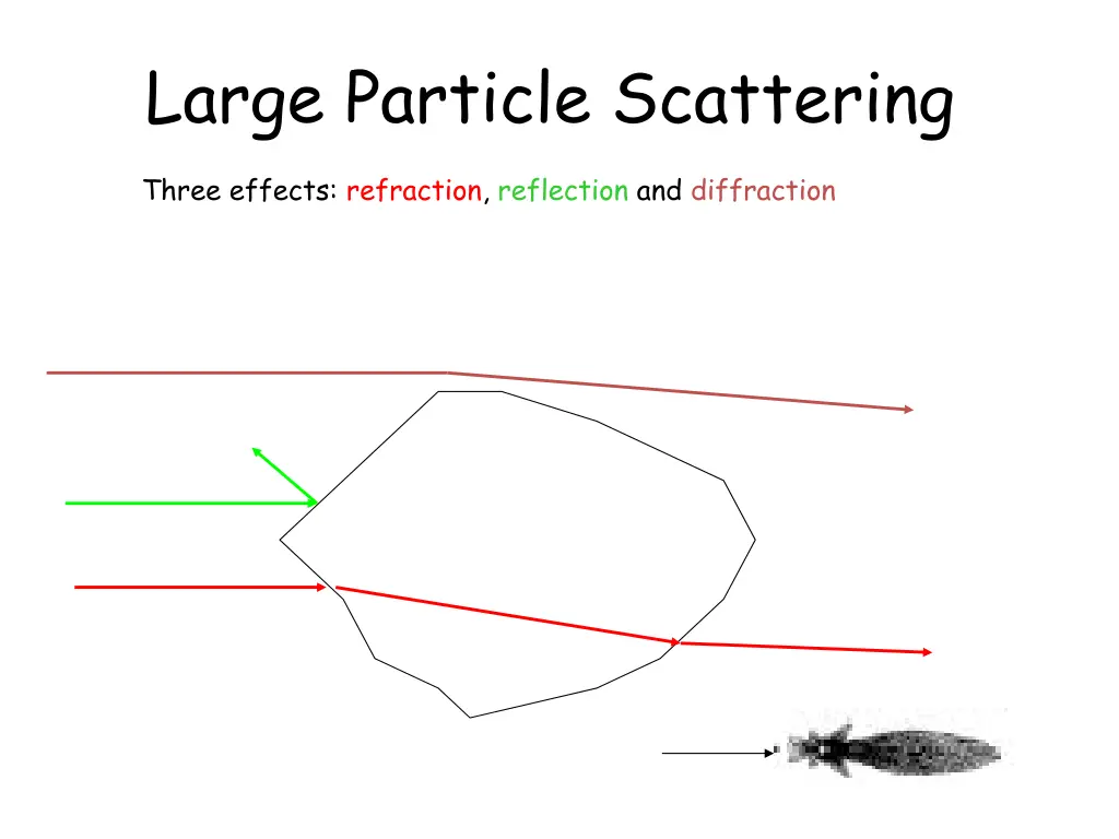 large particle scattering