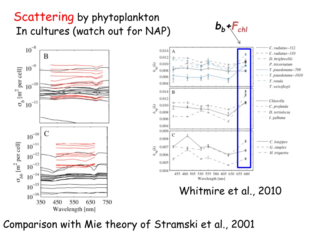 scattering by phytoplankton in cultures watch