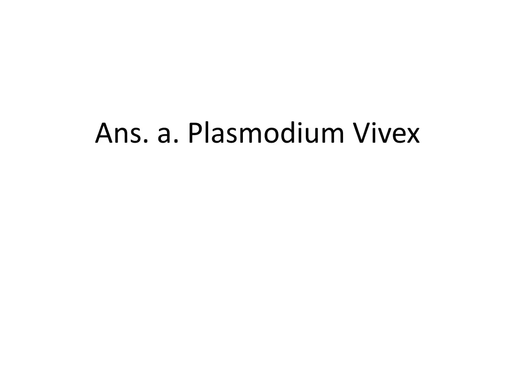 ans a plasmodium vivex