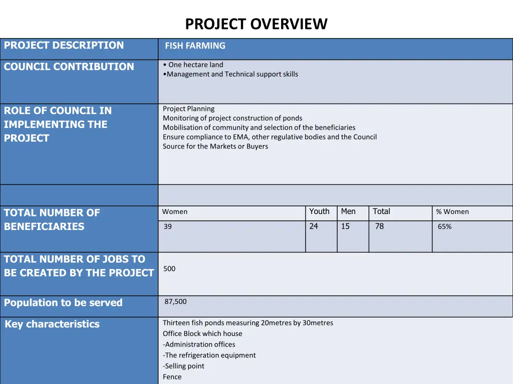 project overview