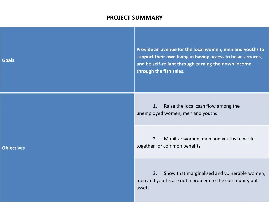 project summary 1