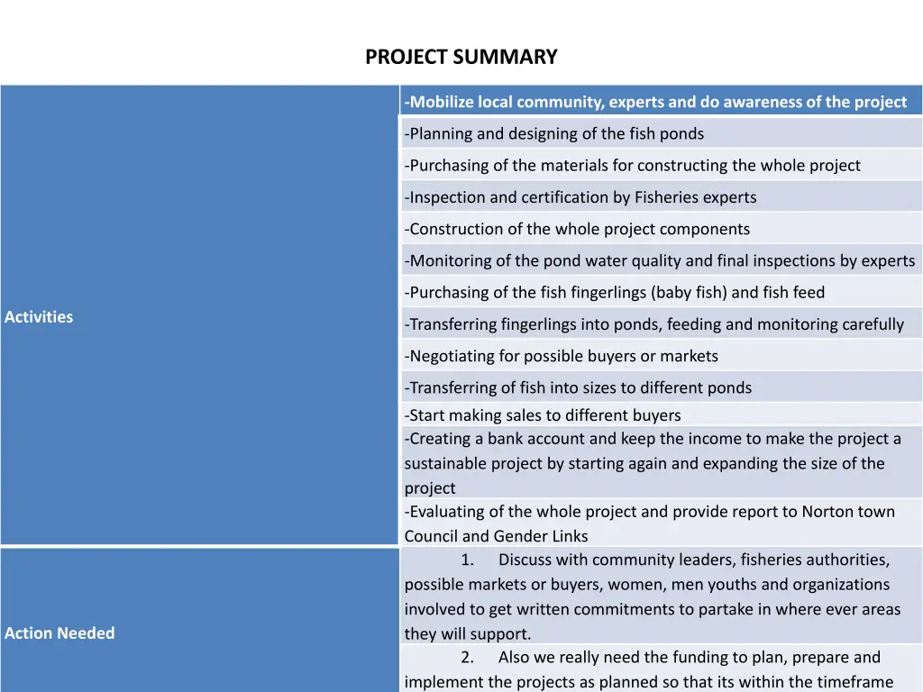 project summary 2