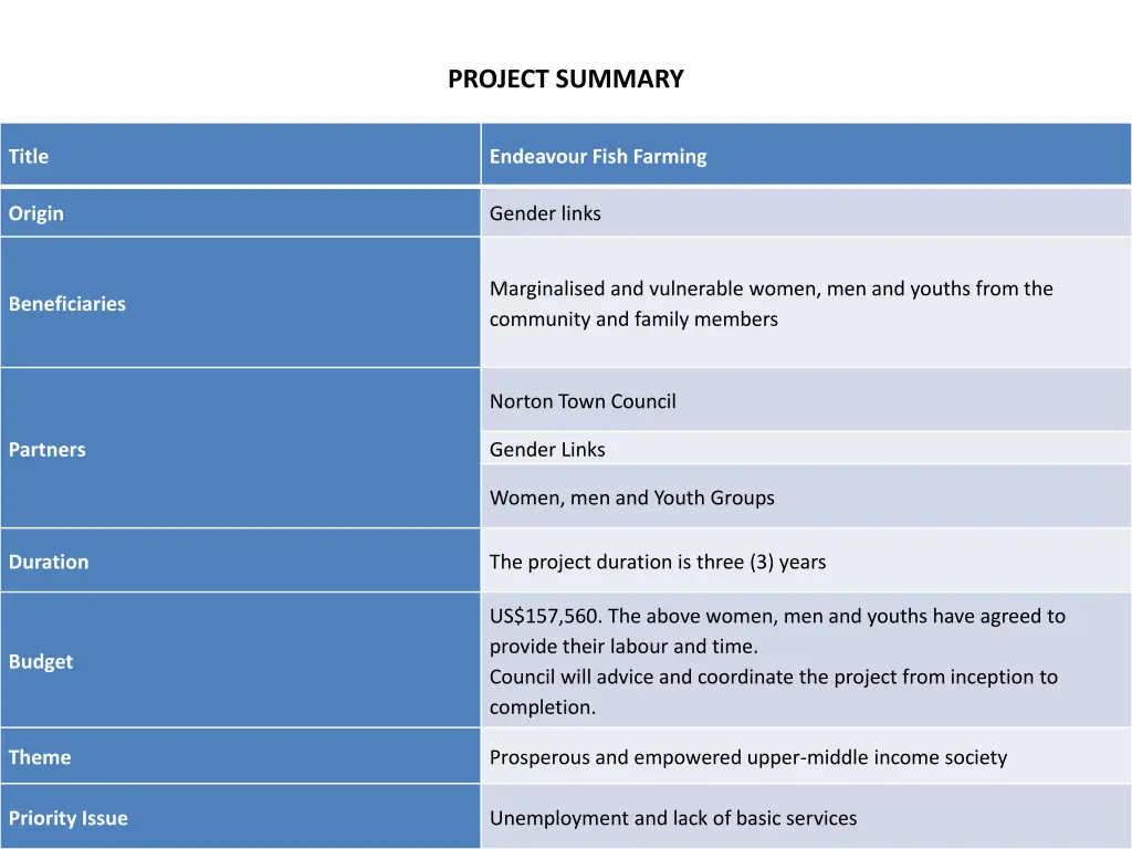 project summary