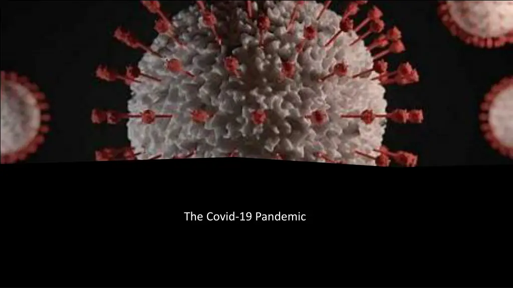 the covid 19 pandemic