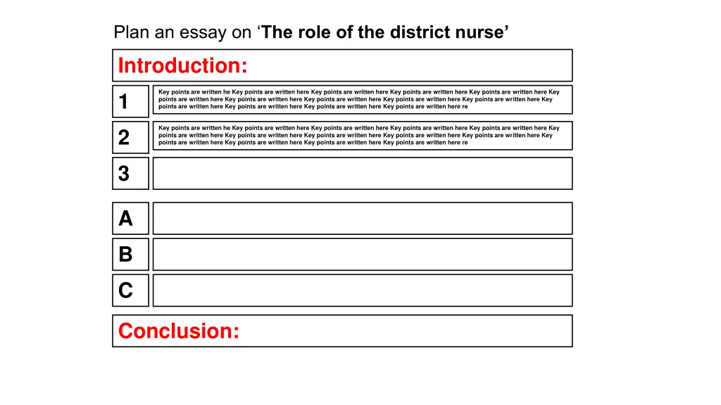 plan an essay on the role of the district nurse 2