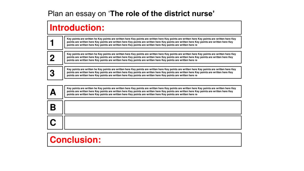 plan an essay on the role of the district nurse 4