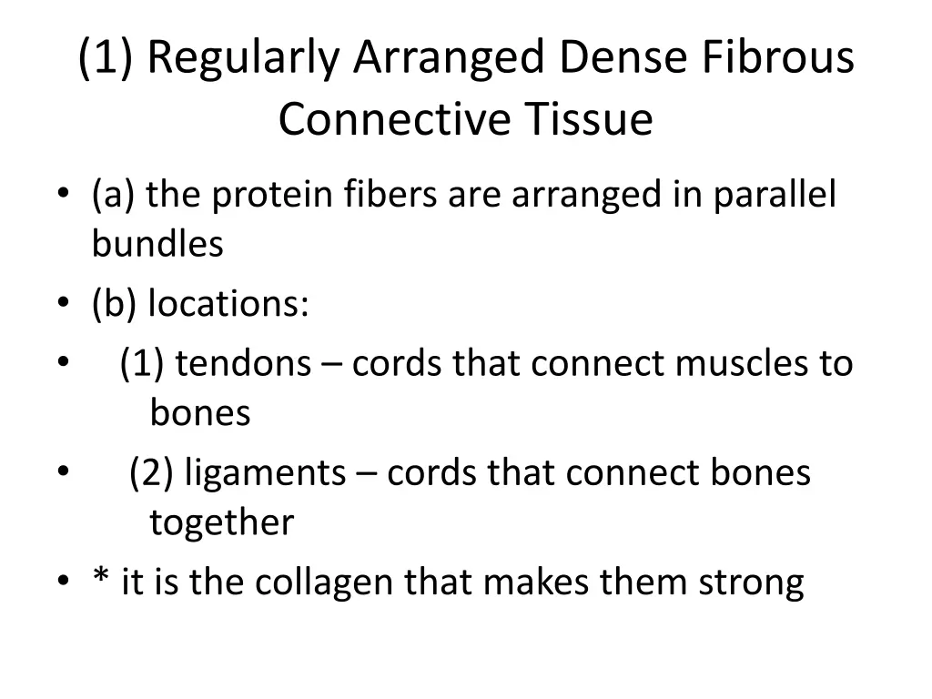 1 regularly arranged dense fibrous connective