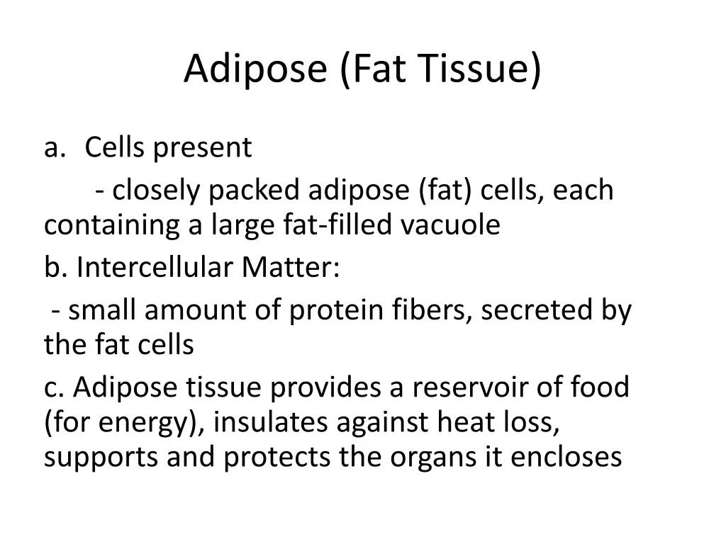 adipose fat tissue