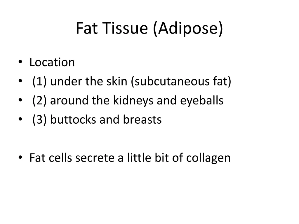 fat tissue adipose