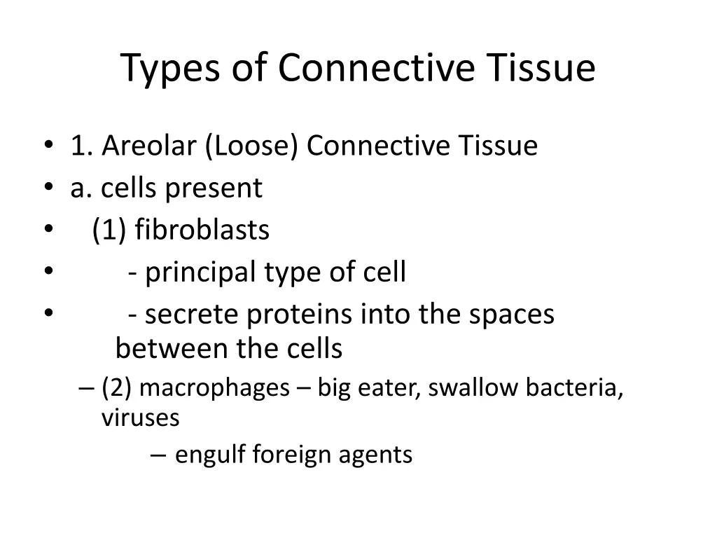 types of connective tissue