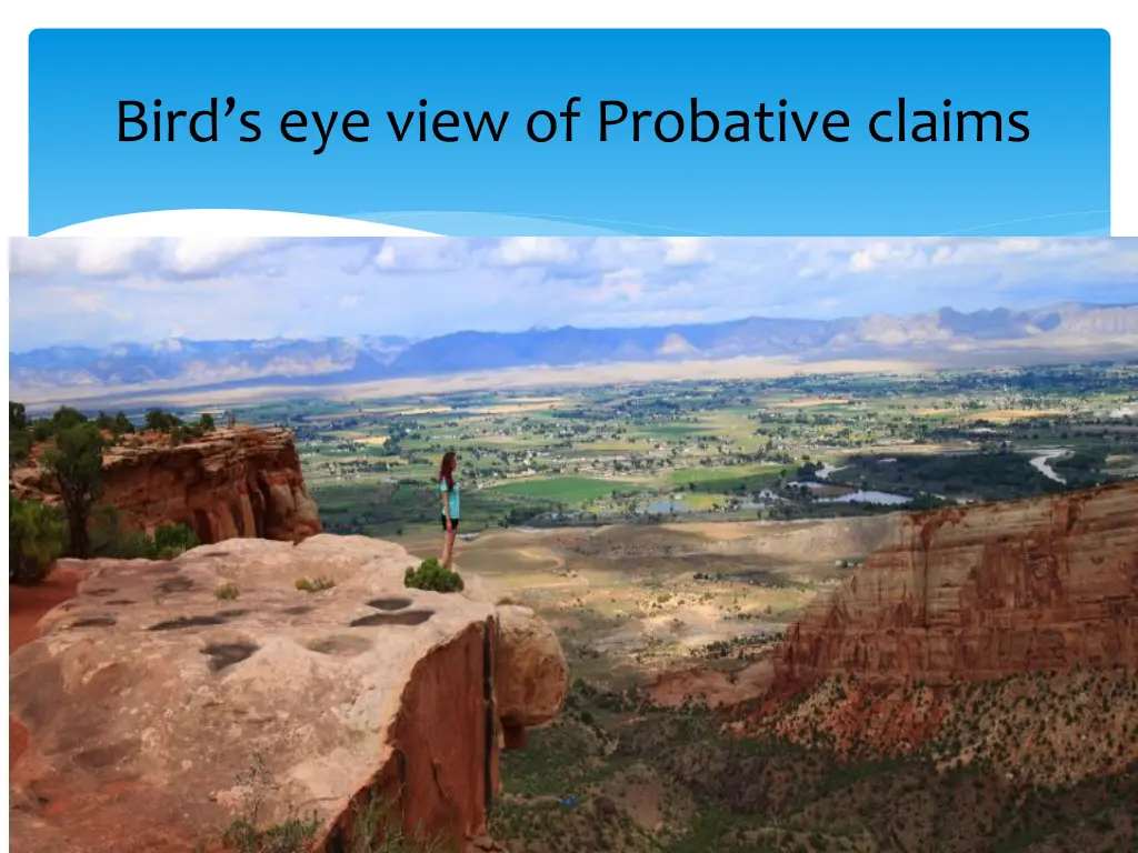 bird s eye view of probative claims