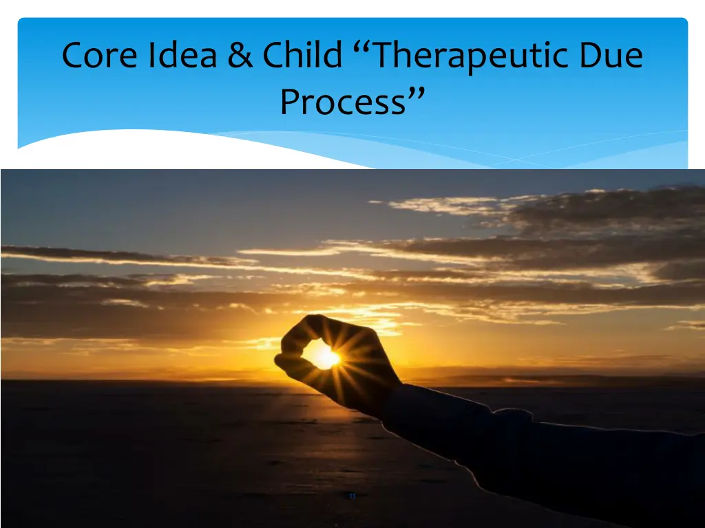 core idea child therapeutic due process