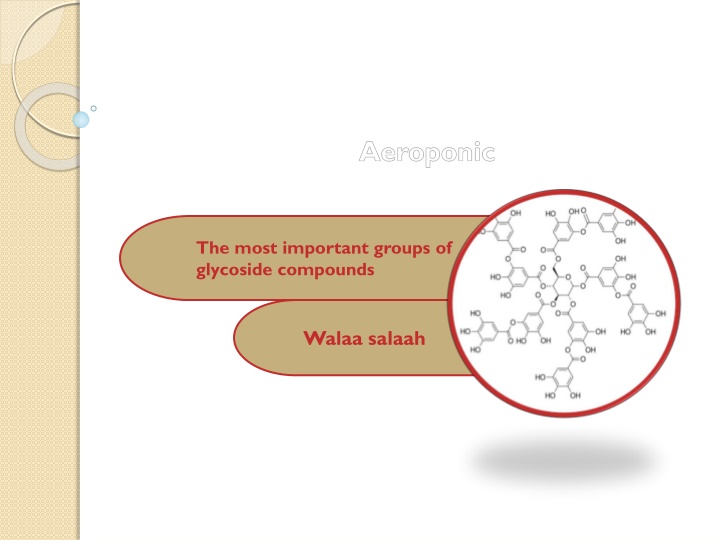 the most important groups of glycoside compounds