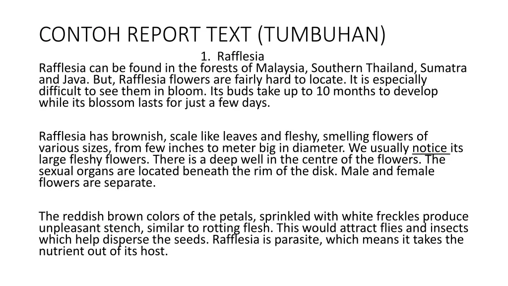 contoh report text tumbuhan 1 rafflesia rafflesia