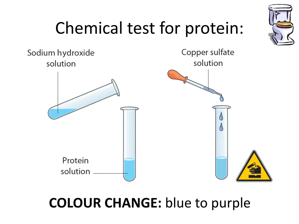 chemical test for protein