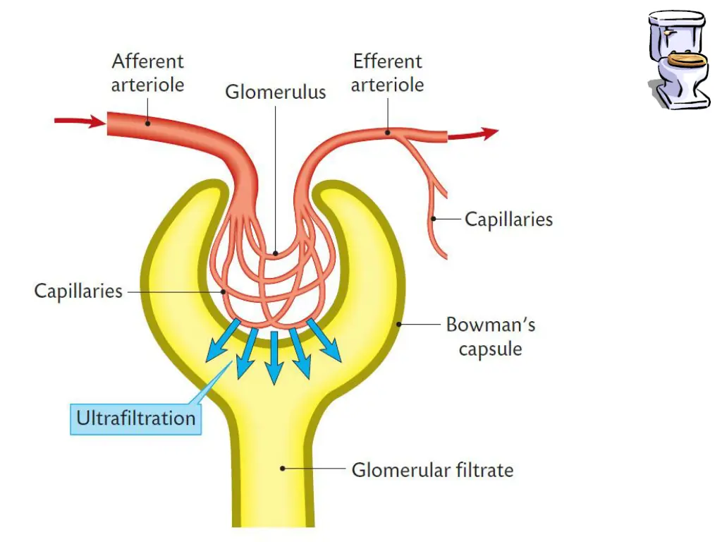 slide8