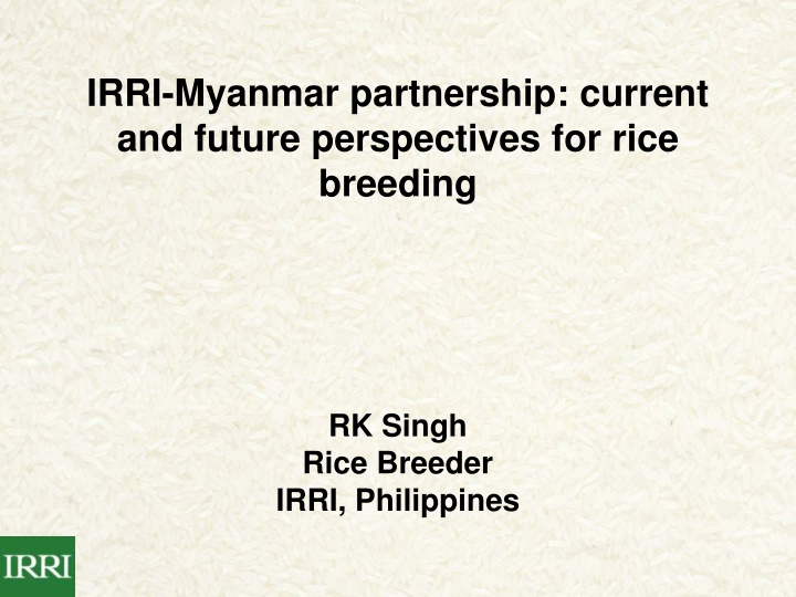 irri myanmar partnership current and future