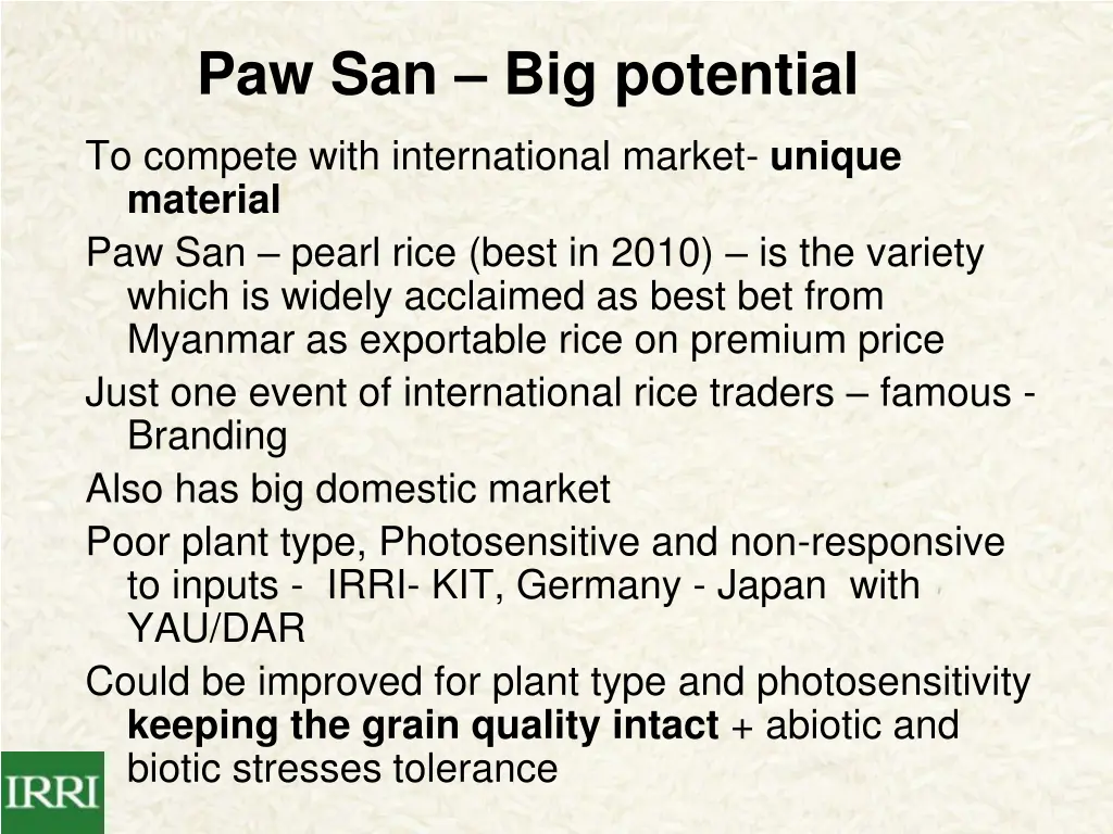 paw san big potential