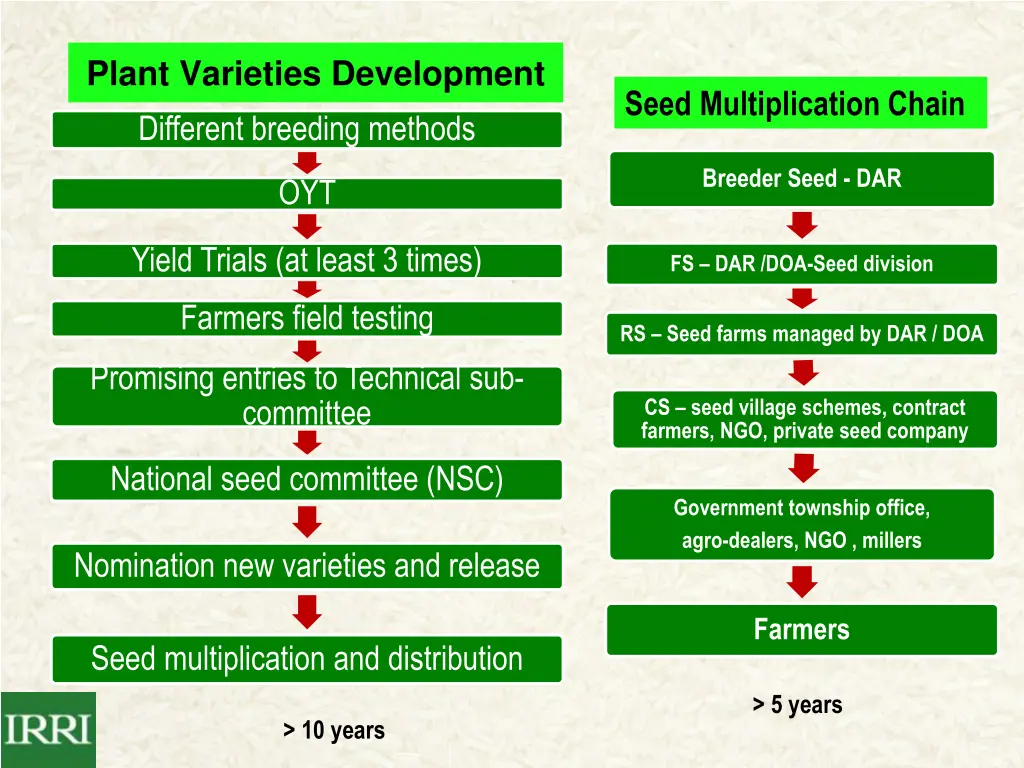 plant varieties development different breeding