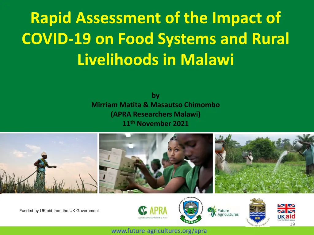 rapid assessment of the impact of covid 1