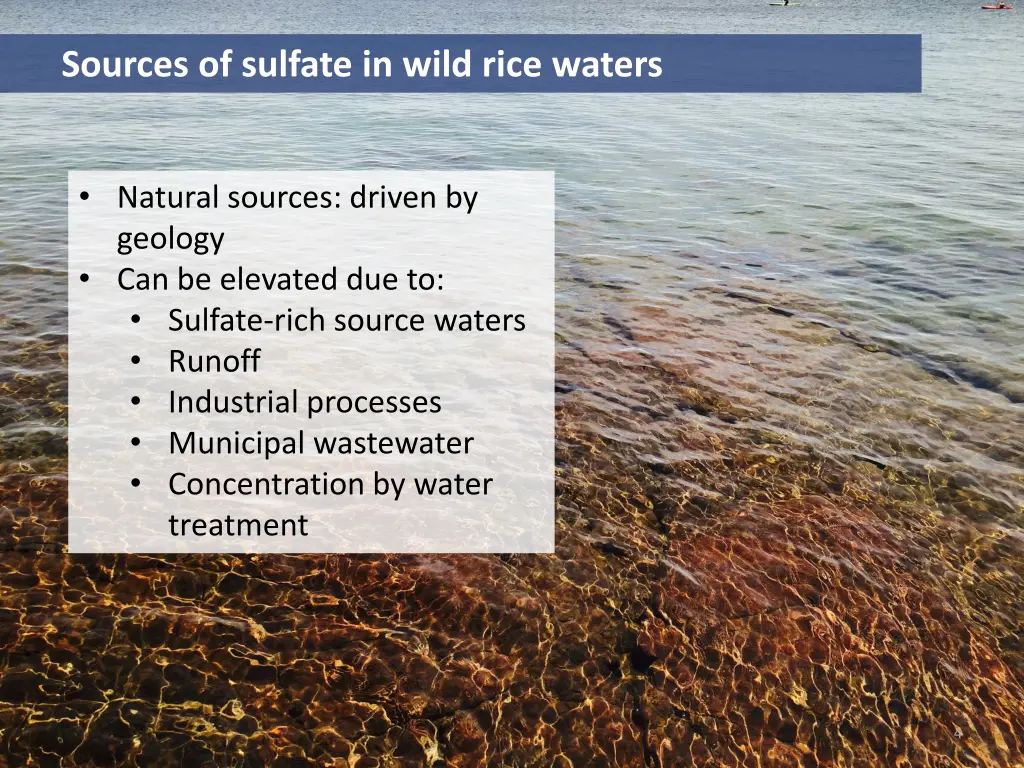 sources of sulfate in wild rice waters