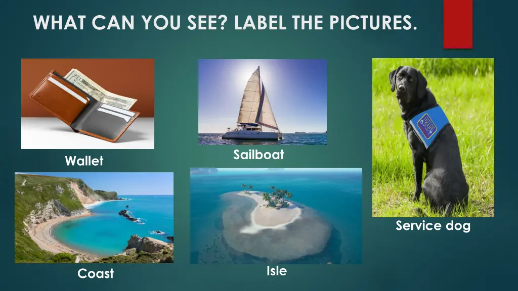 what can you see label the pictures