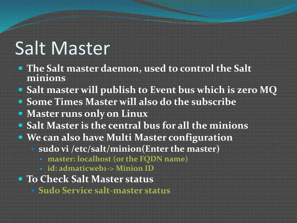 salt master the salt master daemon used