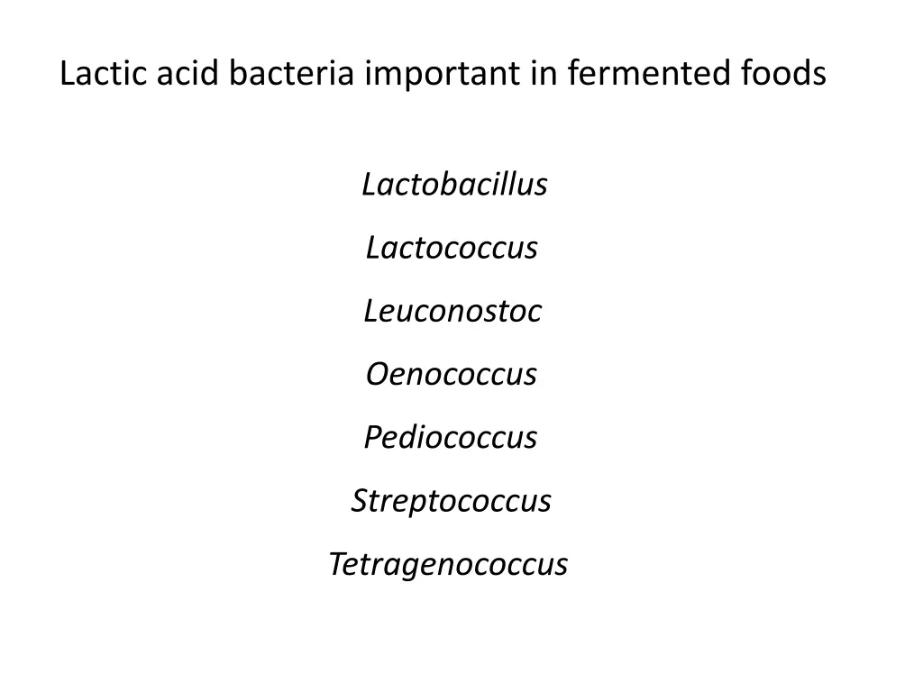 lactic acid bacteria important in fermented foods