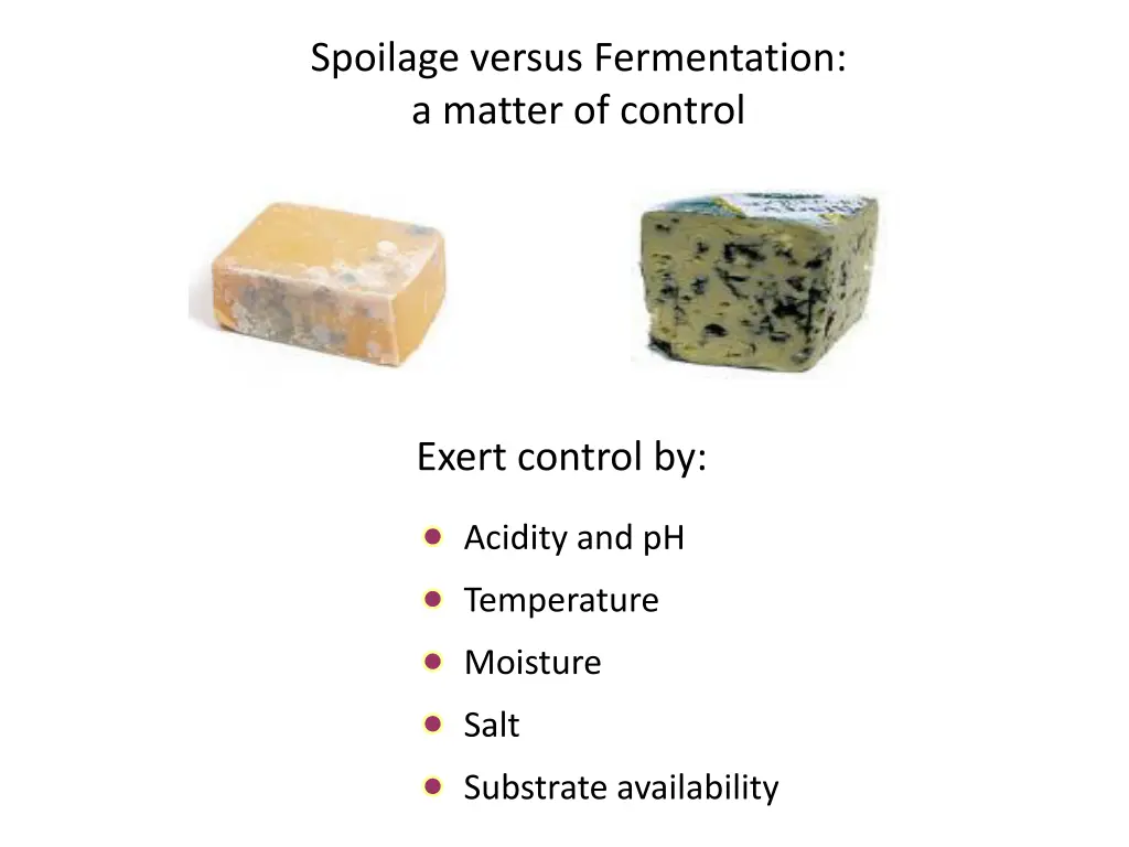 spoilage versus fermentation a matter of control