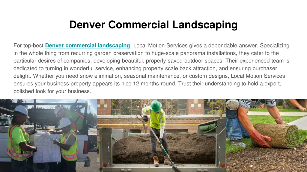 denver commercial landscaping