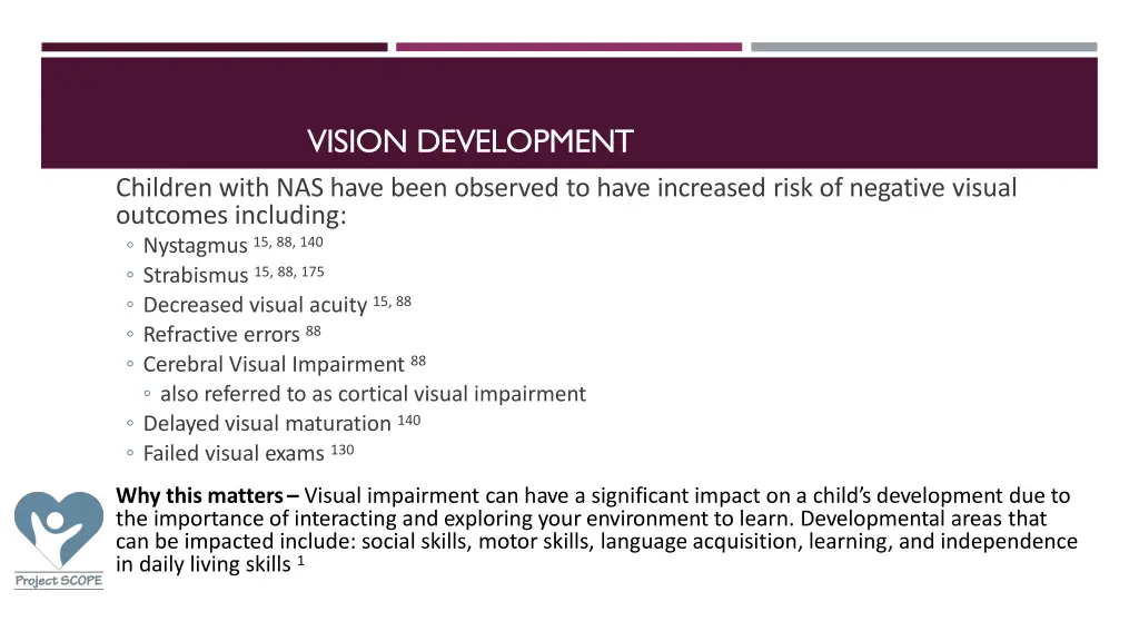 vision development