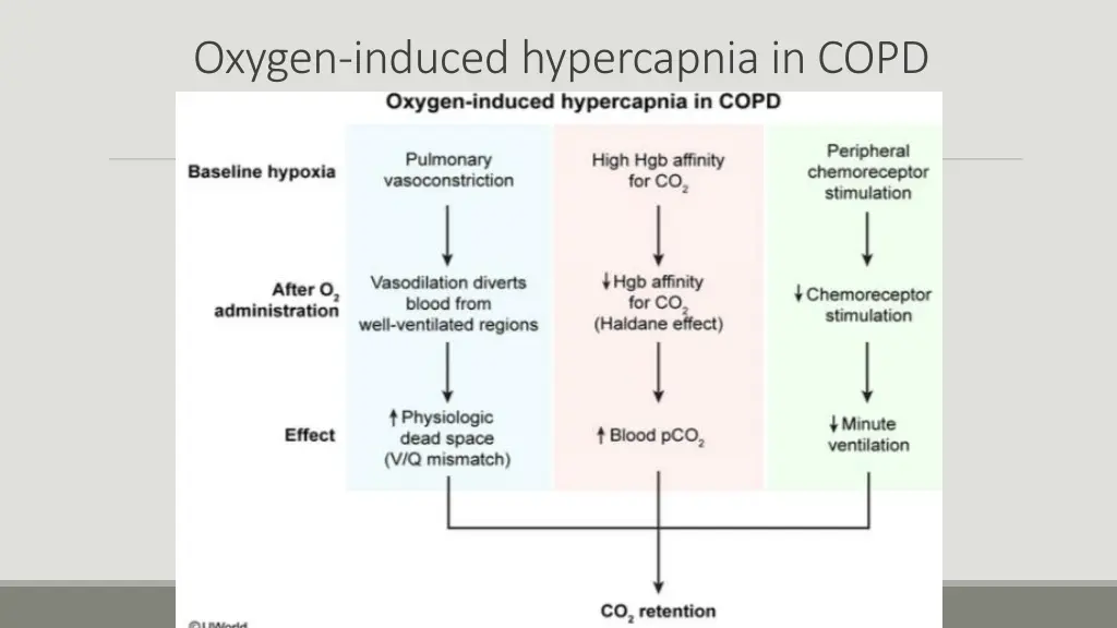 oxygen induced hypercapnia in copd