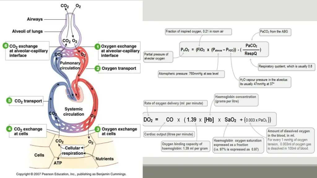 slide7