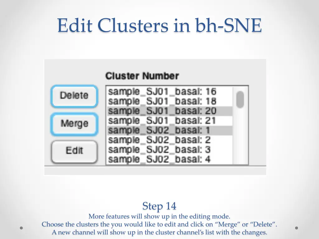 edit clusters in bh sne 1