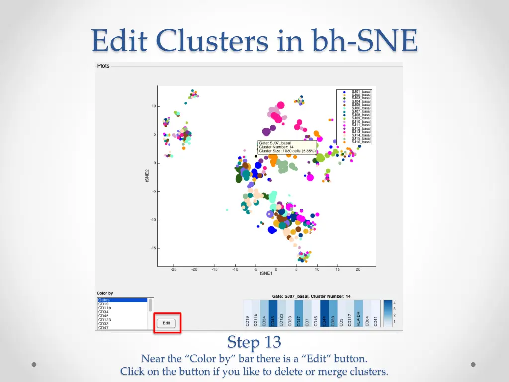 edit clusters in bh sne