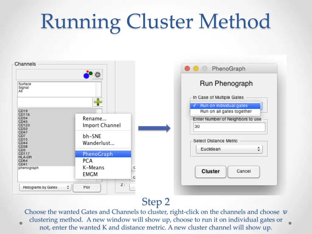 running cluster method