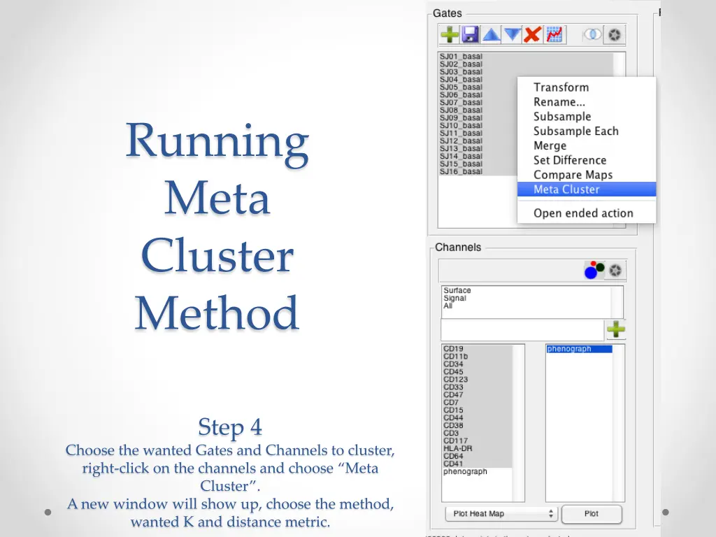 running meta cluster method